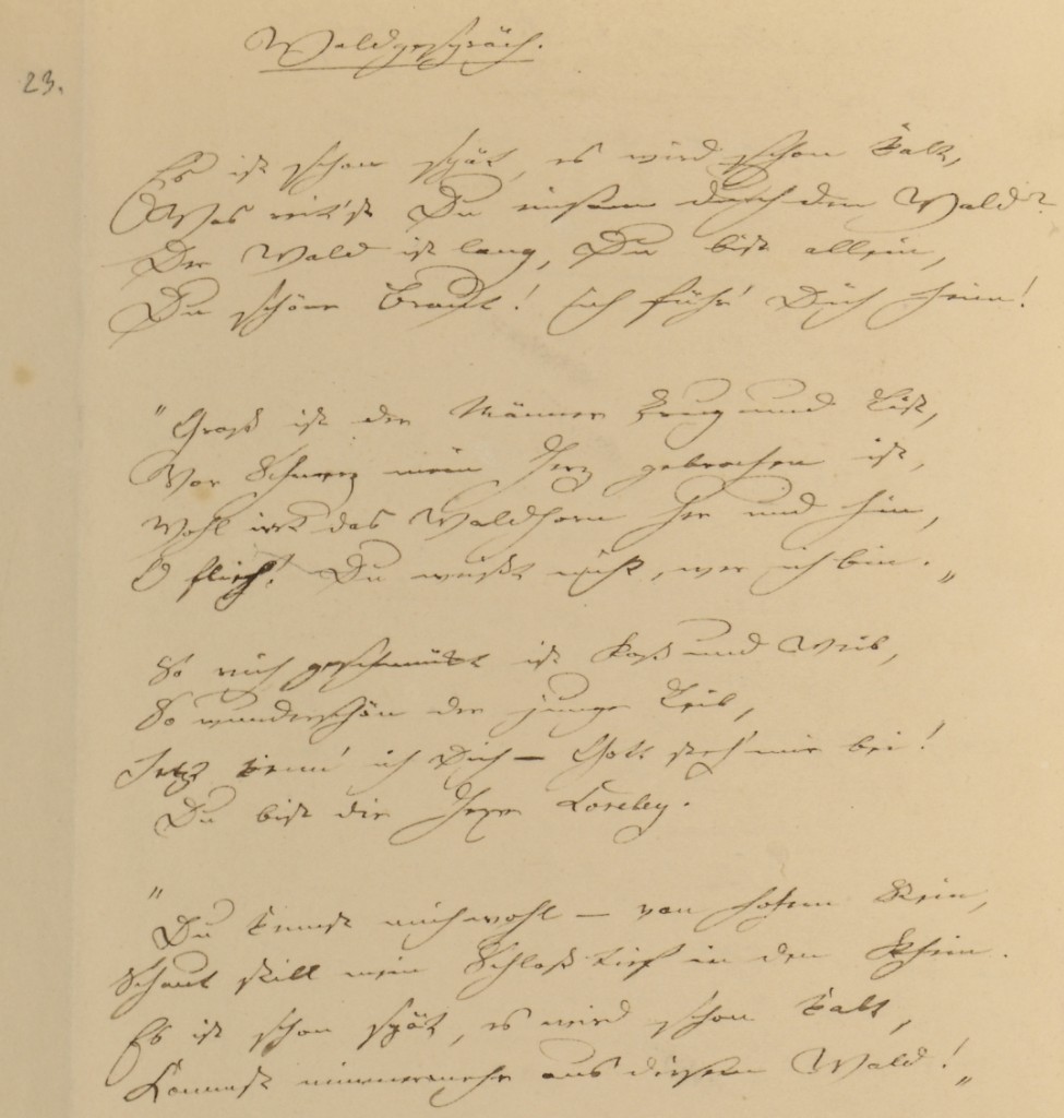 Gedichatbschrift Waldgespräch